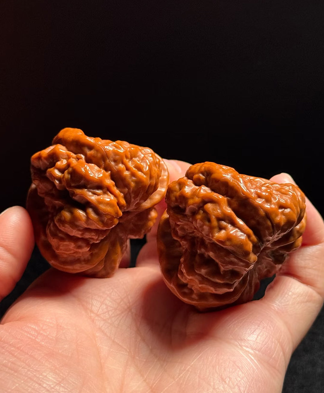 PanPan Walnut Blind Box