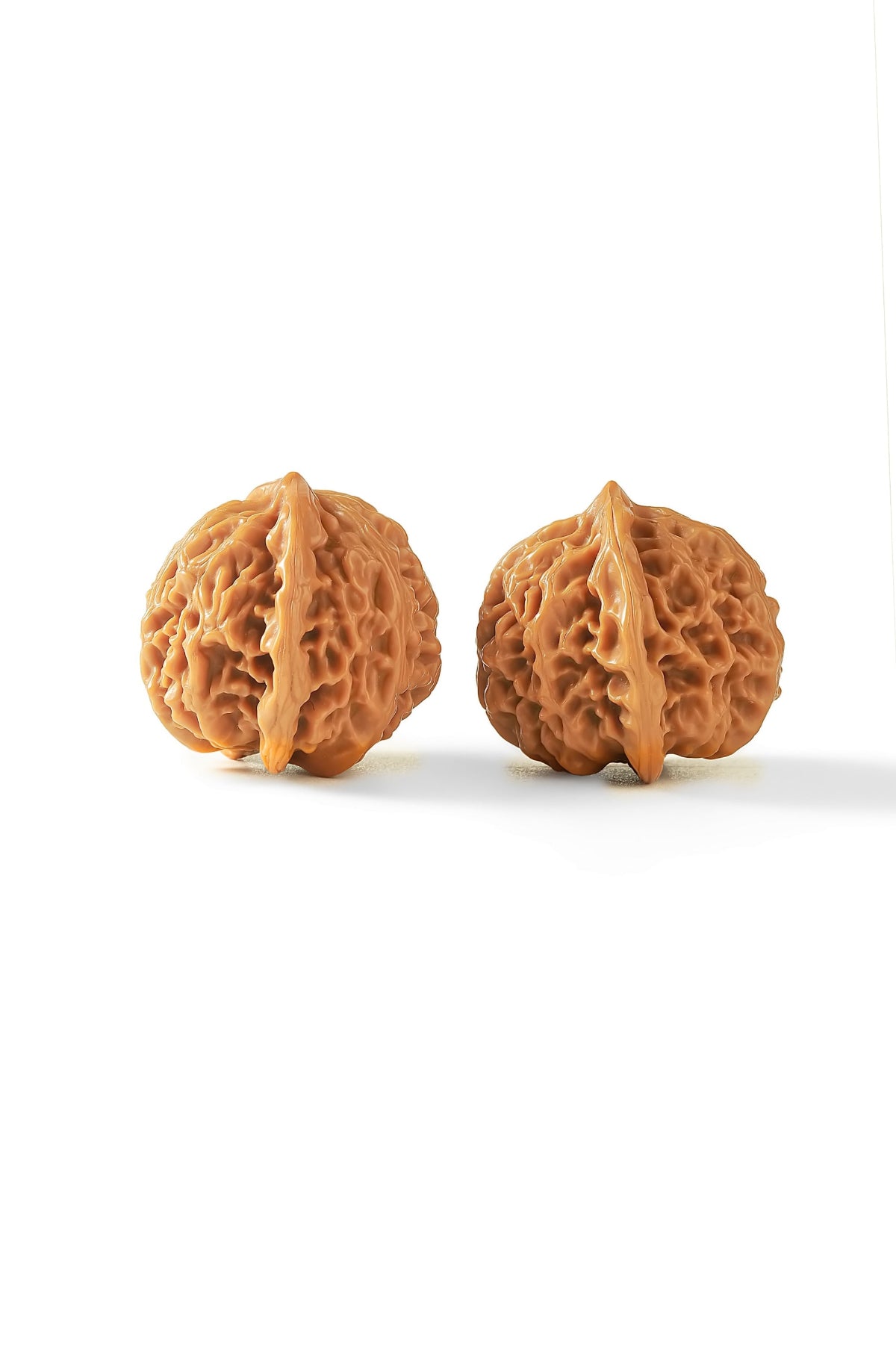 Lantern PanPan Walnuts