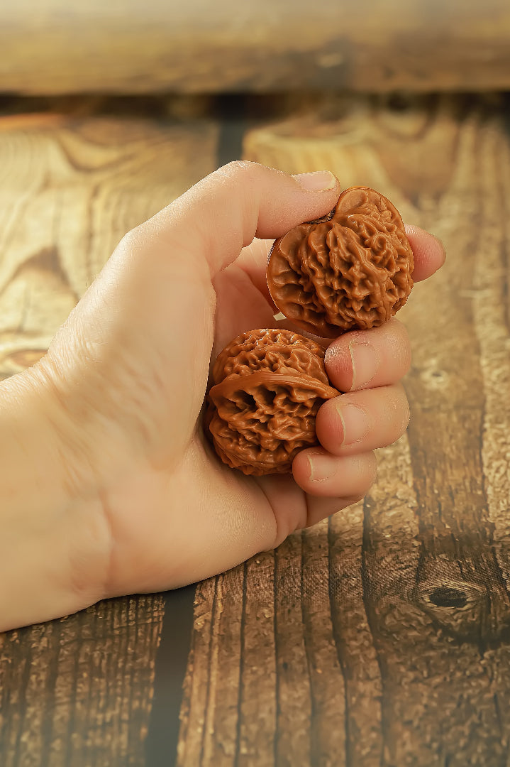 Lantern PanPan Walnuts