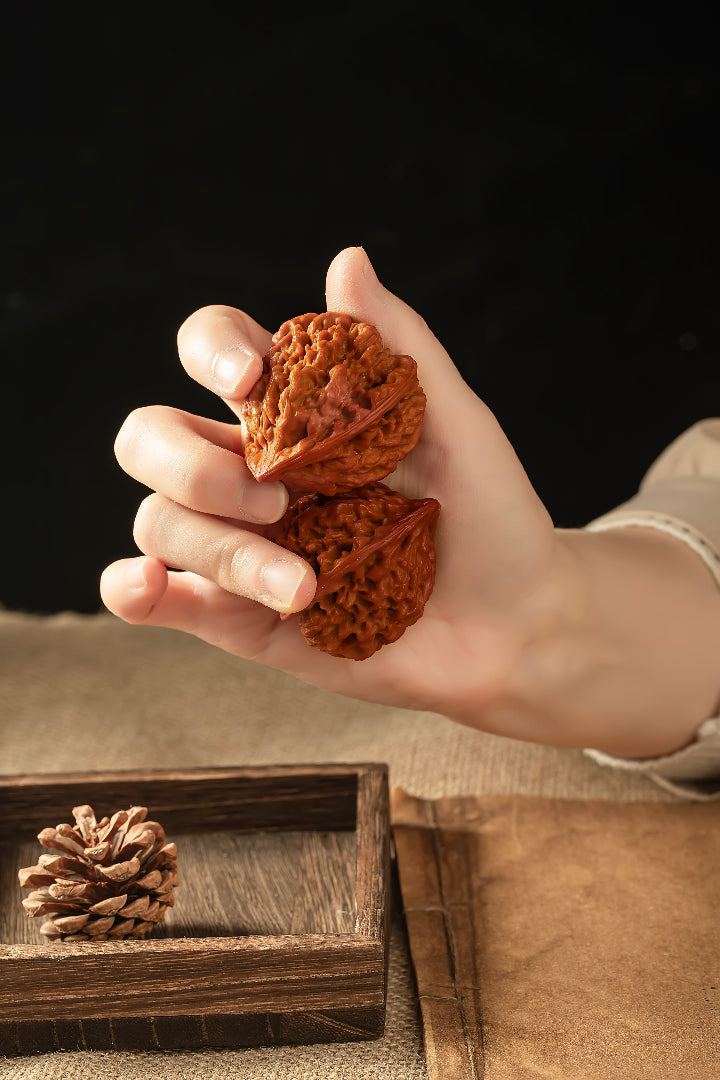 Starfield PanPan Walnuts