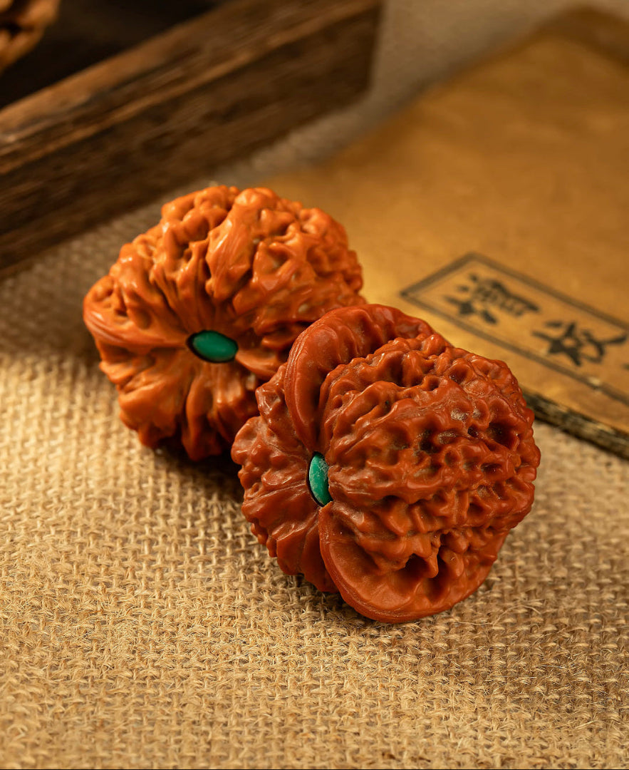 Starfield PanPan Walnuts