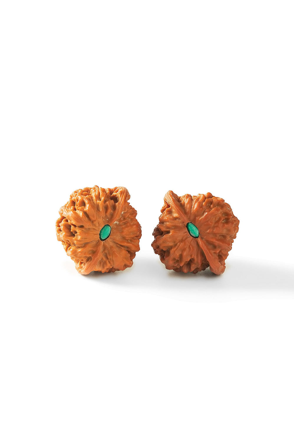 Starfield PanPan Walnuts