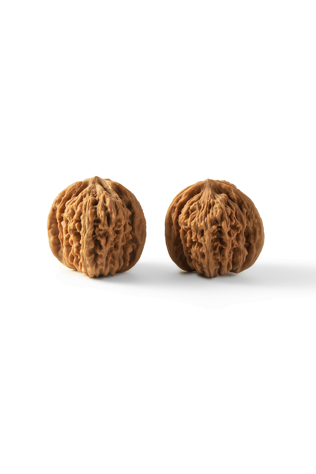 Lion's Head PanPan Walnuts