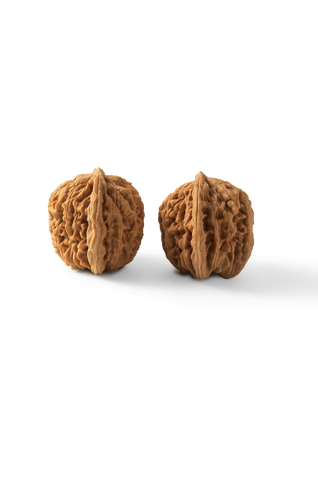 Lion's Head PanPan Walnuts