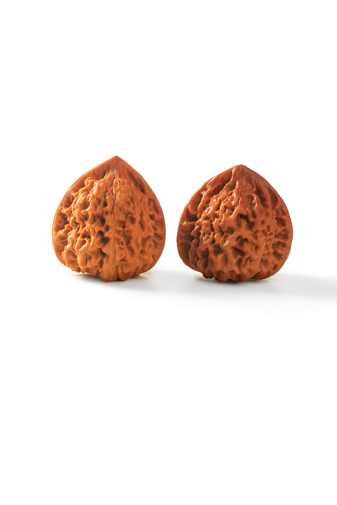 Starfield PanPan Walnuts