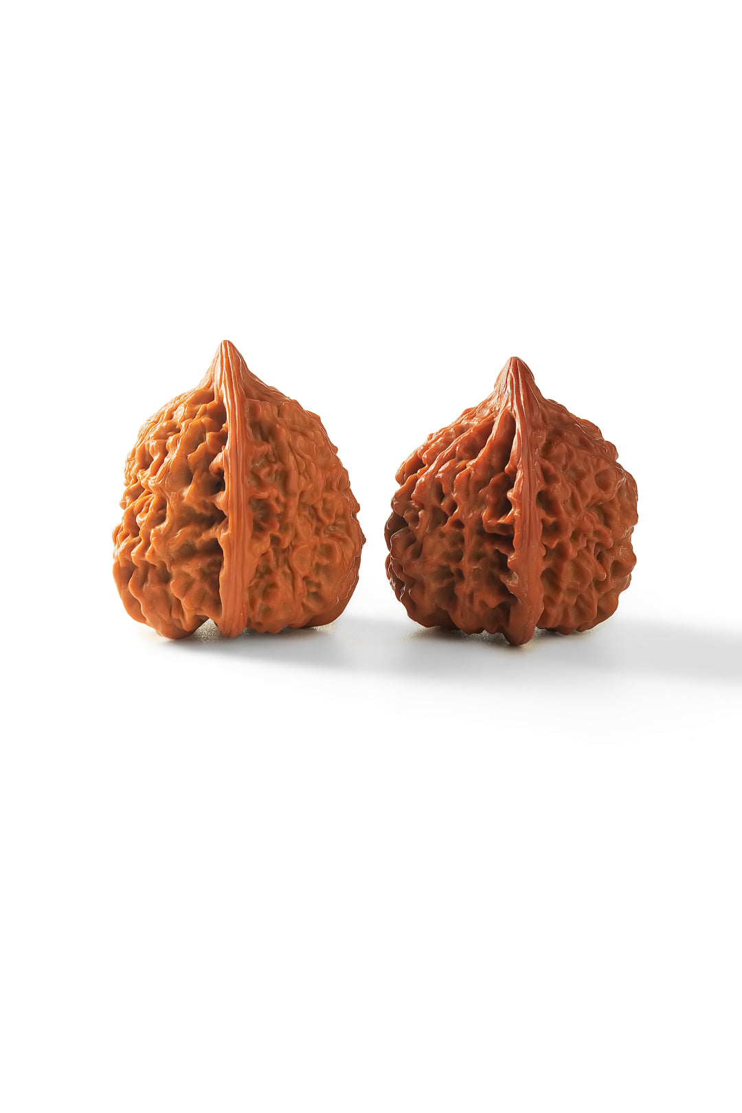 Starfield PanPan Walnuts