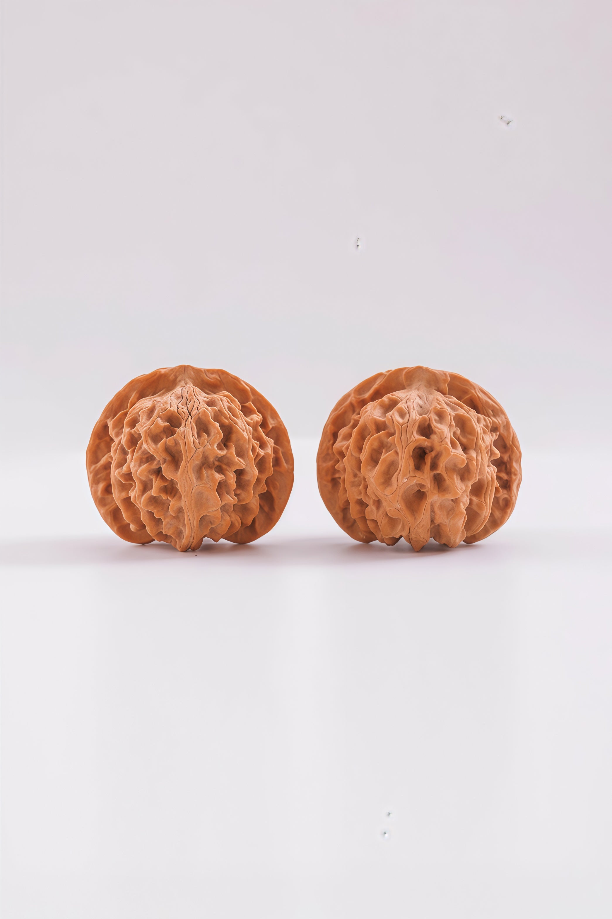 PanPan Walnut Blind Box