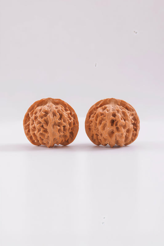 PanPan Walnut Blind Box